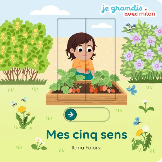 Livre bébé "Mes 5 sens"