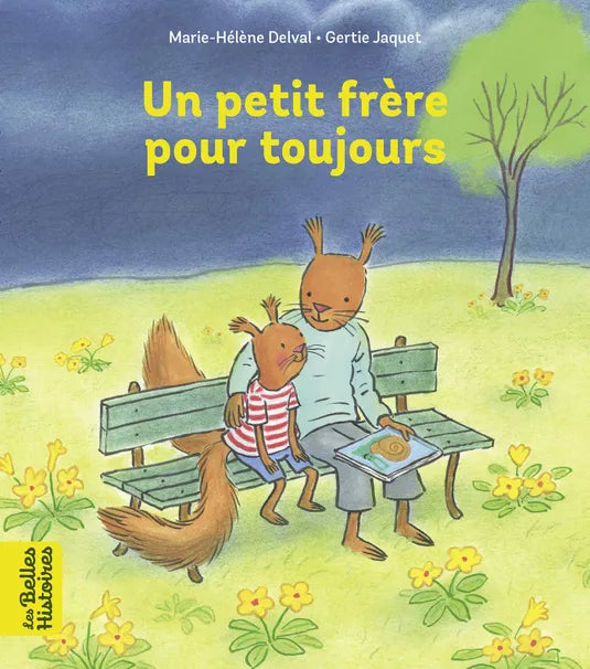Livre - Un petit frère pour toujours