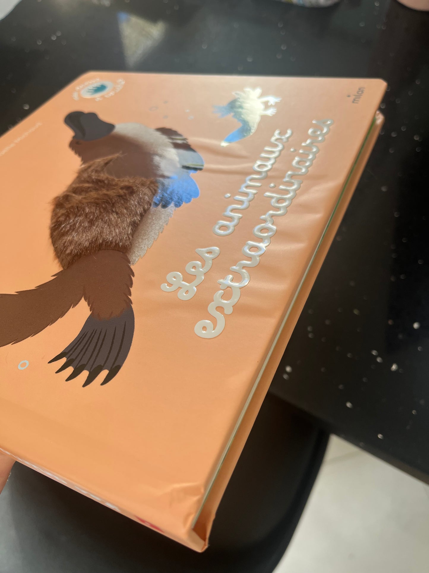 Livre bébé "Mes docs à toucher les animaux extraordinaires"