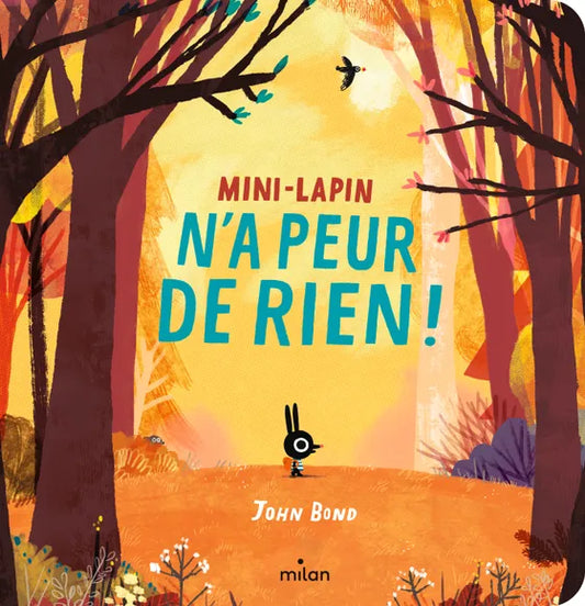 Livre  "Mini-Lapin n'a peur de rien"