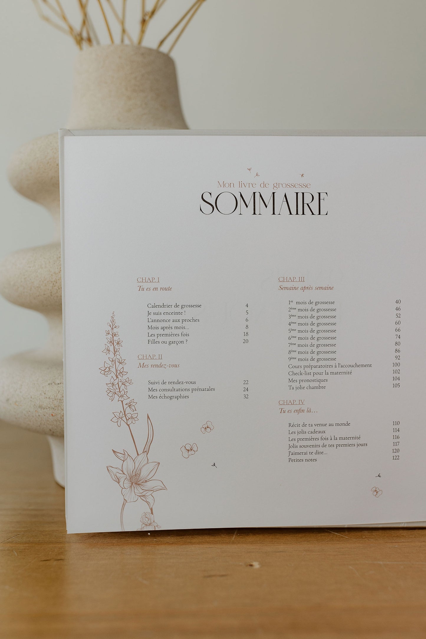 Journal de grossesse